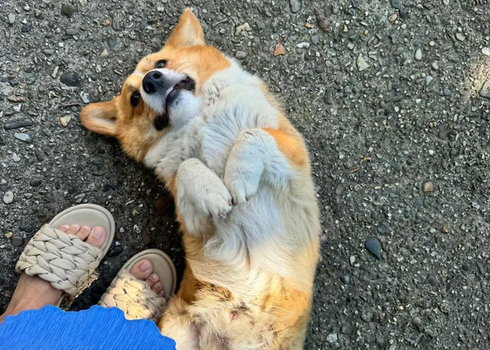 Vughtse Verblijven Vught