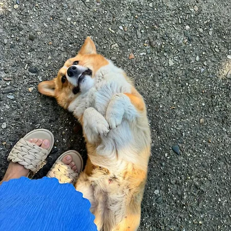 Vughtse Verblijven Vught